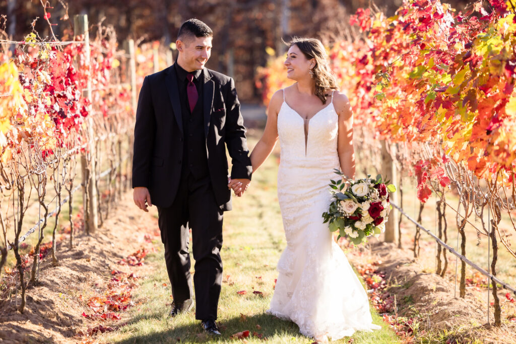 Bride and groom walking through the vineyard. The vines are autumn colors.