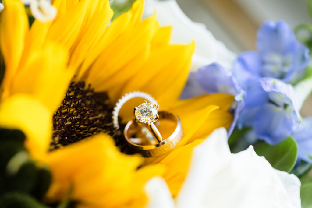 wedding bands placed on yellow sunflower