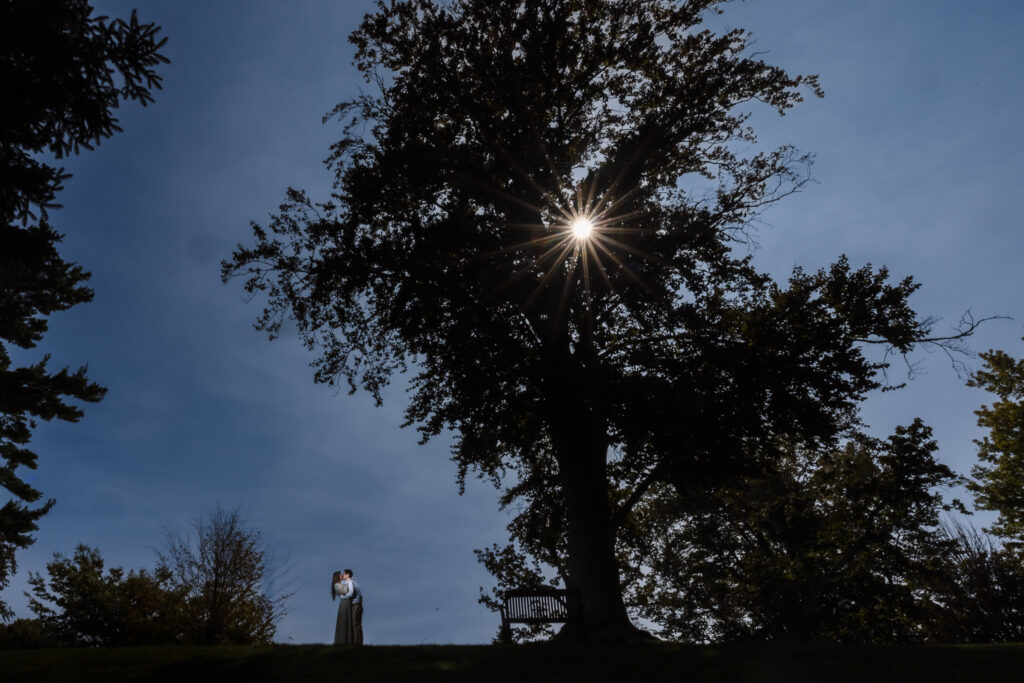 A serene scene featuring a couple silhouetted against a clear blue sky, embracing beneath a large tree with sprawling branches. The sun shines through the leaves, creating a starburst effect and dramatic lighting. A bench sits near the tree, adding to the peaceful, natural ambiance.