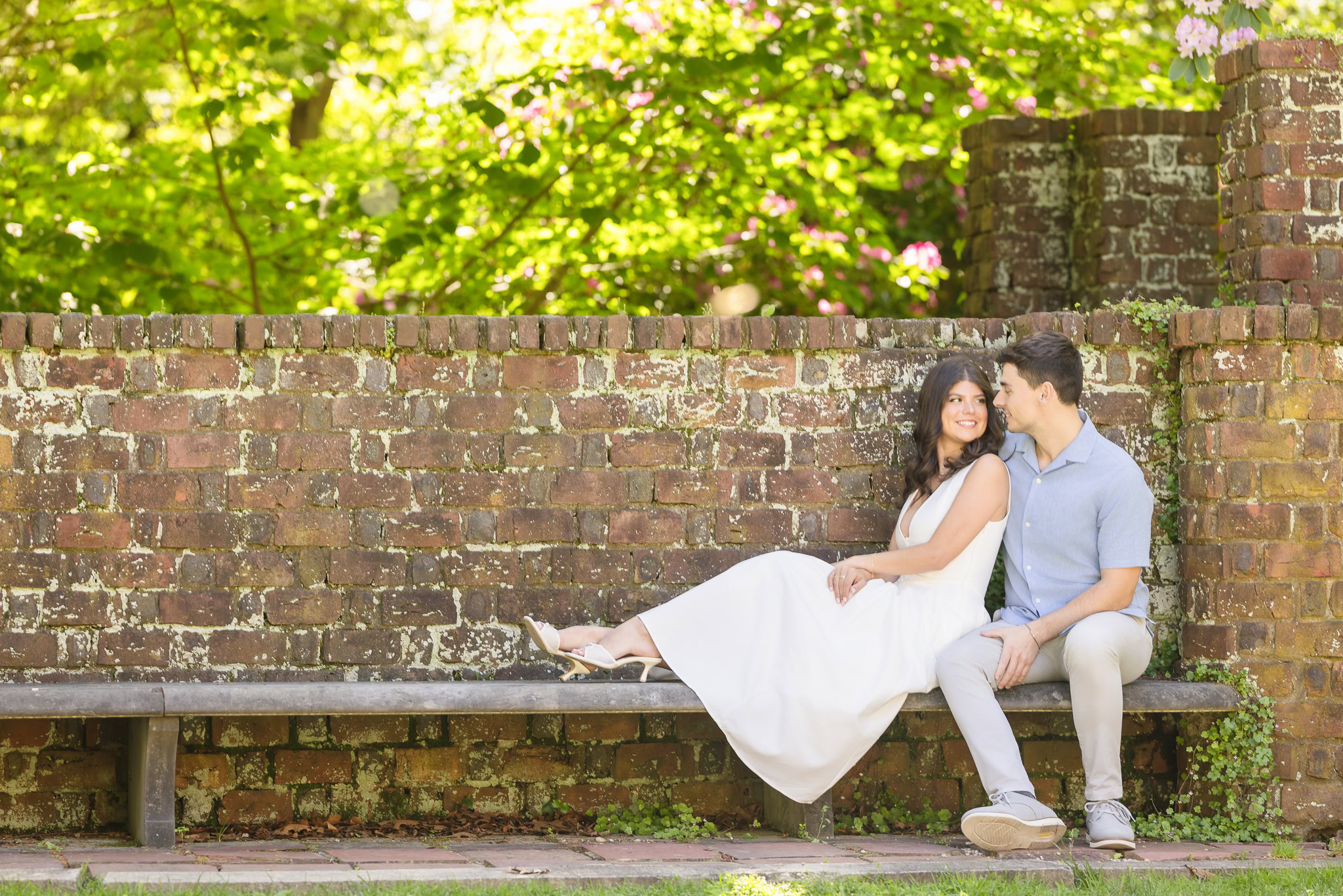 A couple sits closely on a wooden bench in front of a weathered brick wall at Planting Fields Arboretum. Surrounded by lush greenery and soft morning light, they share a joyful, intimate moment during their engagement session.