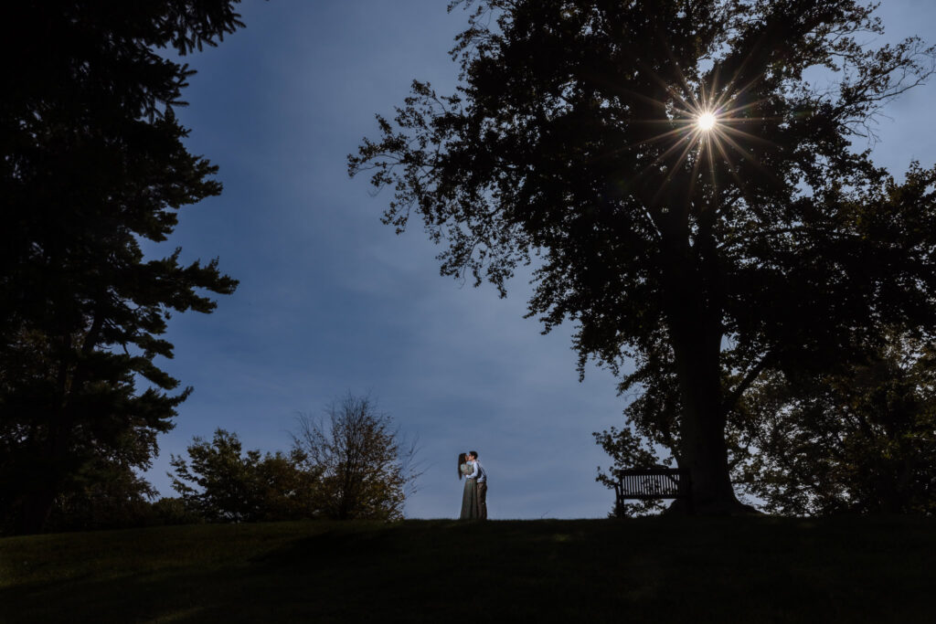 Couple embracing under a sunlit tree at the Vanderbilt Museum, silhouetted against a dramatic blue sky as sunlight filters through the branches.

