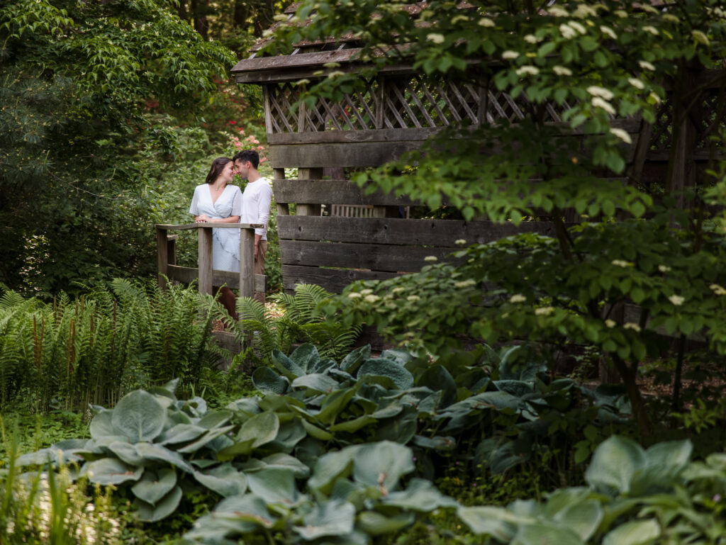 Romantic engagement photo of a couple standing on a wooden bridge surrounded by lush greenery and ferns at Planting Fields Arboretum in Oyster Bay, New York.