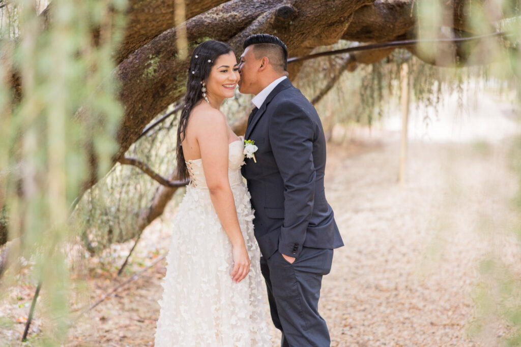 Romantic wedding-style engagement photo of a couple under a willow tree at Planting Fields Arboretum, with the groom whispering to the bride as she smiles.