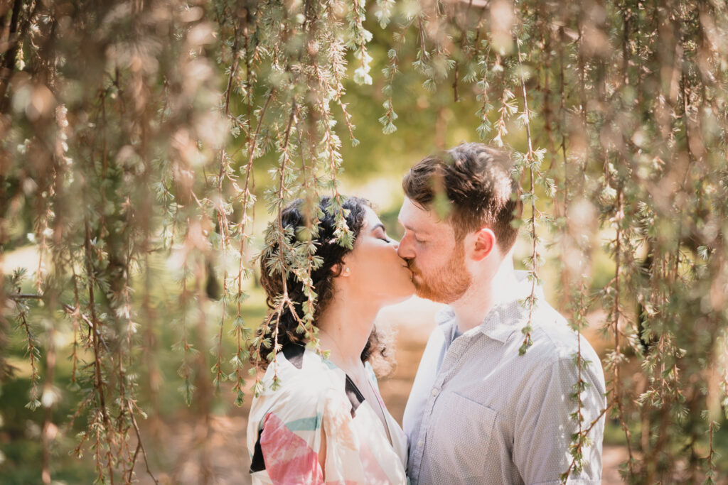 Romantic engagement photo of a couple kissing beneath hanging willow branches at Planting Fields Arboretum, surrounded by soft natural light and greenery.
