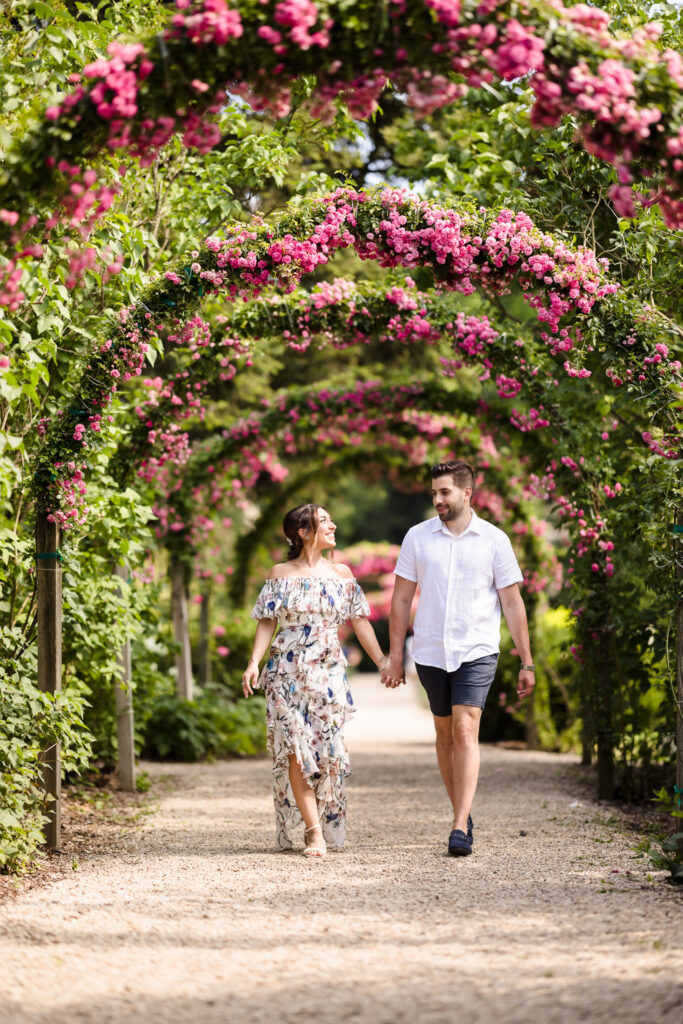 Romantic engagement photo of a couple walking hand in hand beneath blooming pink flower arches at Planting Fields Arboretum in Oyster Bay, New York.