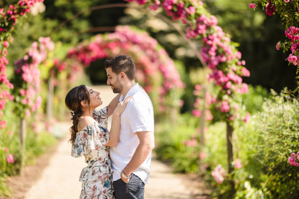Romantic engagement photo of a couple embracing under vibrant pink rose-covered arches at Planting Fields Arboretum on Long Island.
