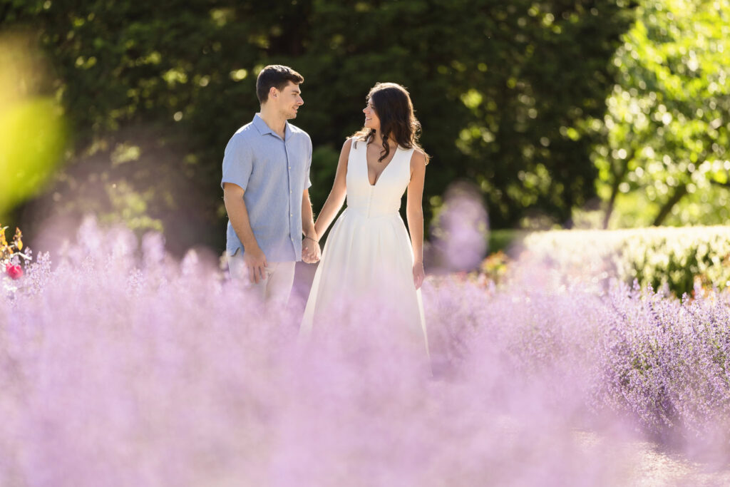 Romantic engagement photo of a couple holding hands in a field of lavender blooms at Planting Fields Arboretum, surrounded by golden sunlight and lush greenery.