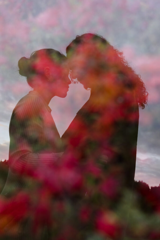 Silhouetted couple embracing behind vibrant autumn flowers at sunset during a romantic fall engagement session.