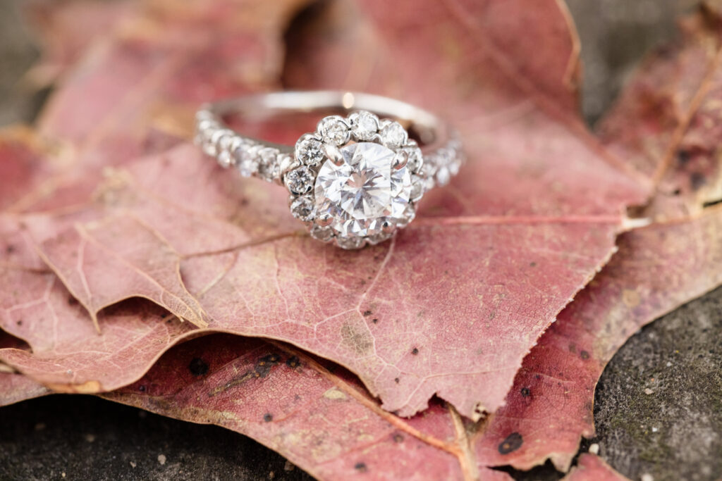 Close-up of a diamond engagement ring resting on faded autumn leaves at Bethpage State Park a timeless detail captured with texture, sparkle, and seasonal elegance.