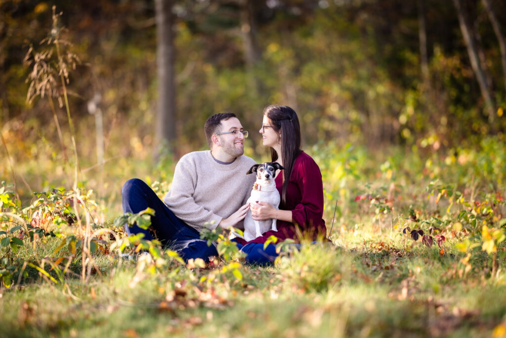 Couple sitting in tall grass with their dog during a peaceful fall engagement session at Bethpage State Park, sharing a quiet moment surrounded by nature.