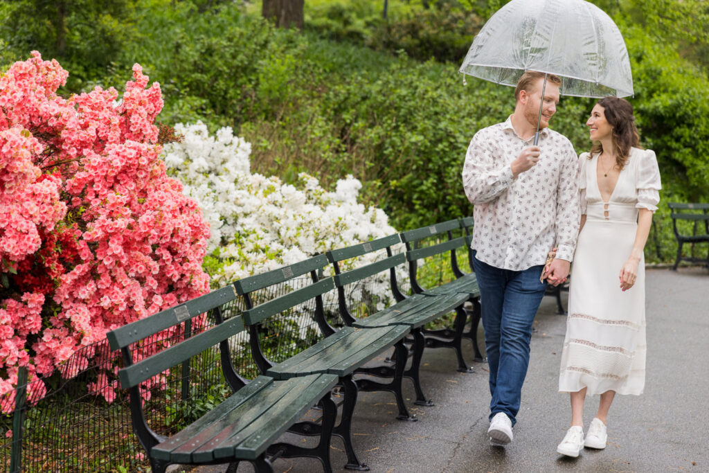 Couple walking hand in hand under a clear umbrella beside blooming azaleas during their spring engagement session in rainy Central Park.
